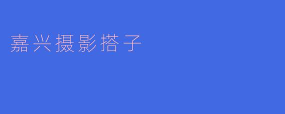 嘉兴摄影搭子是什么?