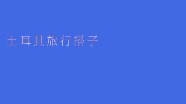 与土耳其旅行搭子的精彩冒险