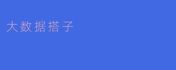 大数据搭子:引领时代的智慧利器