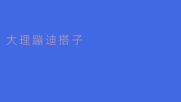 大理蹦迪搭子是什么意思？