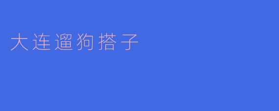 大连遛狗搭子，狗狗和主人的最佳伴侣