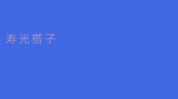 寿光搭子