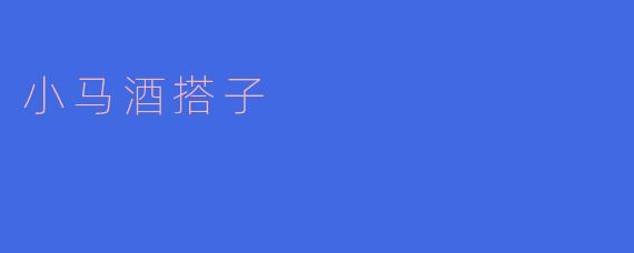 携手共进，小马酒搭子情深
