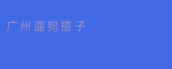 广州遛狗搭子的新生活