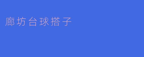廊坊台球搭子