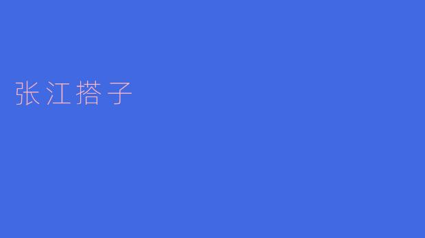 张江搭子:传统技艺与现代生活的完美结合