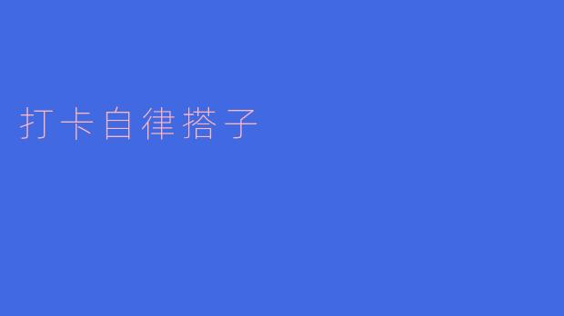 打卡自律搭子