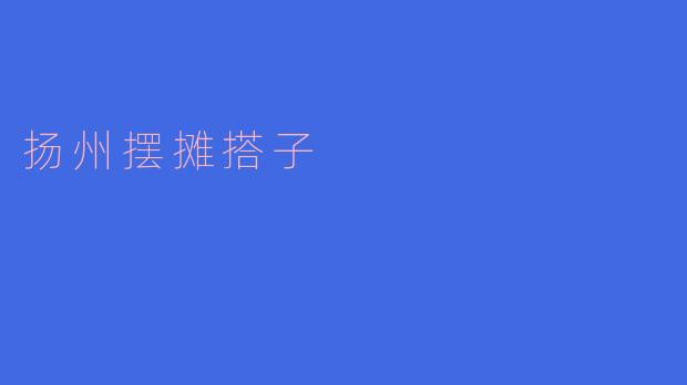 扬州摆摊搭子风情