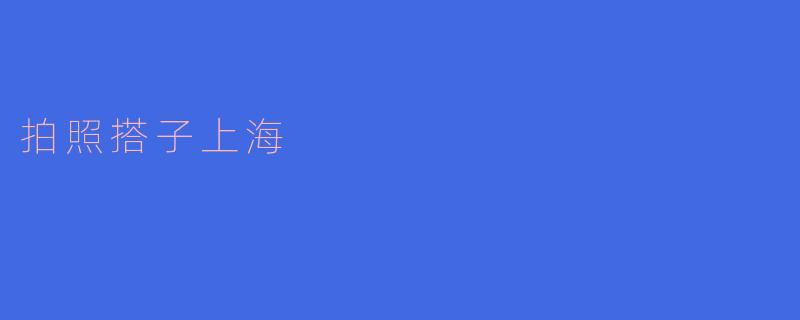与搭子游上海，记录美好时刻