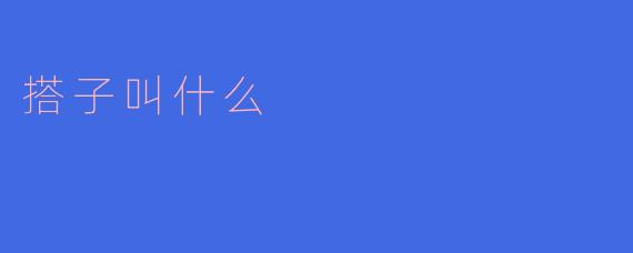 搭子叫什么?
