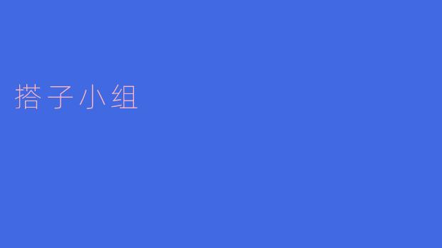 搭子小组:合作共赢,共同成长
