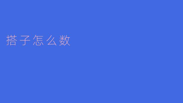搭子怎么数
