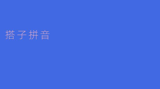 搭子拼音