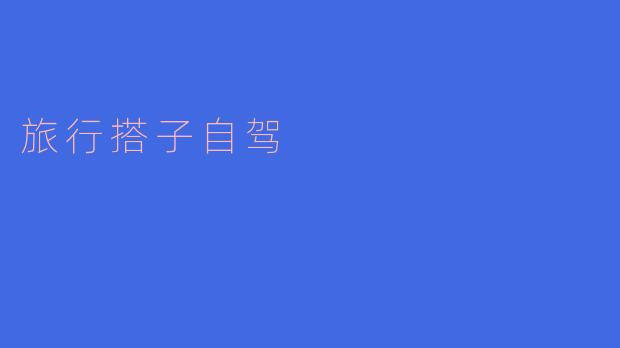 旅行搭子自驾时应该如何分工合作?