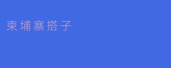  探寻柬埔寨搭子的魅力