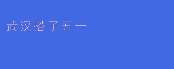 武汉搭子五一