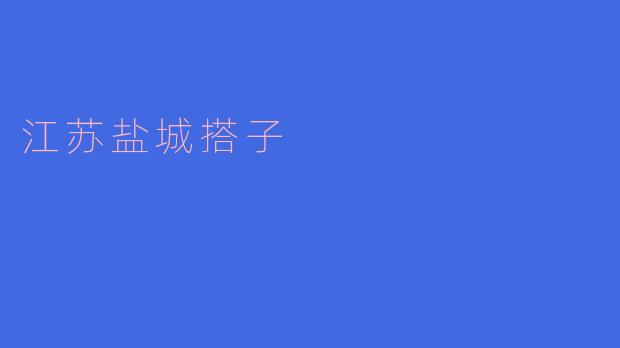 江苏盐城搭子