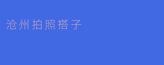 沧州拍照搭子:记录美好瞬间