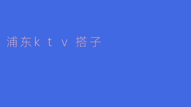 浦东ktv搭子是什么意思?