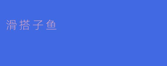 滑搭子鱼——珍贵的海洋物种