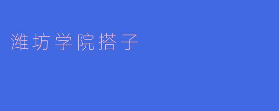 潍坊学院的搭子是什么意思？