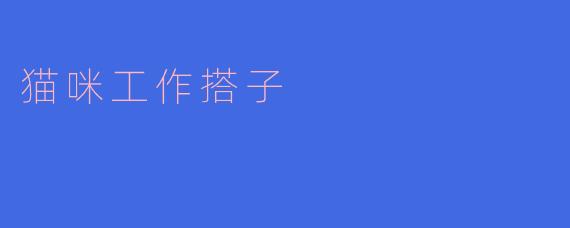 猫咪工作搭子