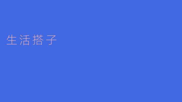 与生活搭子共同前行