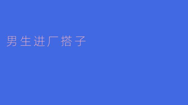 男生进厂搭子