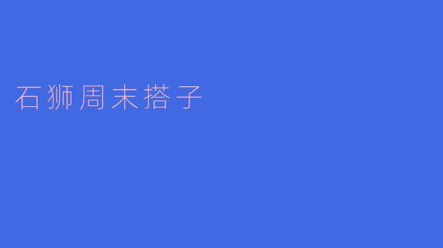 石狮周末搭子