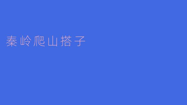 探秦岭，结缘爬山搭子