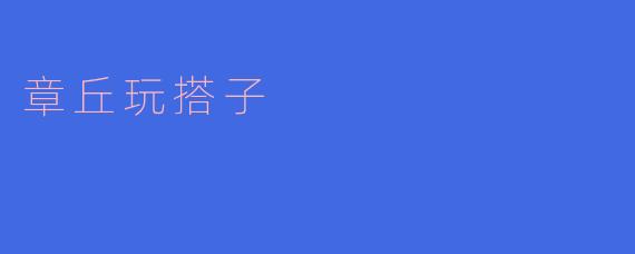 什么是章丘玩搭子？