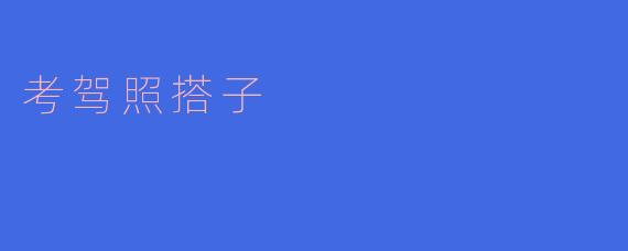 考驾照搭子