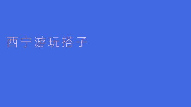 西宁游玩搭子