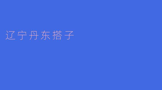 探寻辽宁丹东搭子的故事