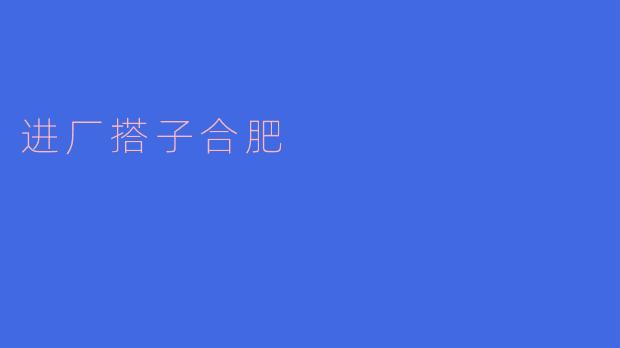 进厂搭子合肥是什么意思？