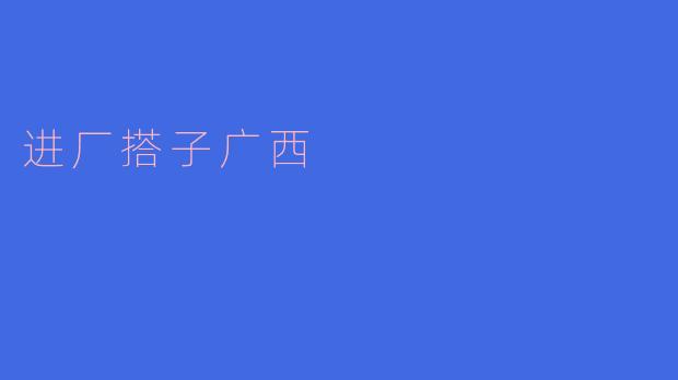 进厂搭子广西是什么意思?