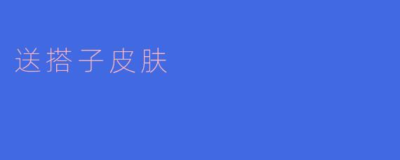 送搭子皮肤