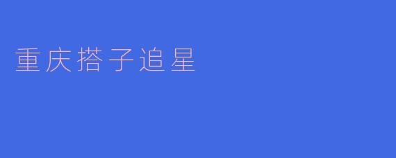 重庆搭子追星