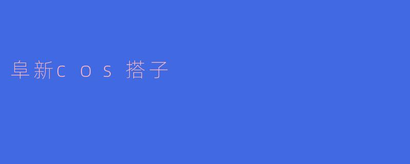 阜新cos搭子