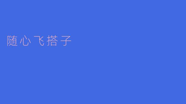 随心飞搭子