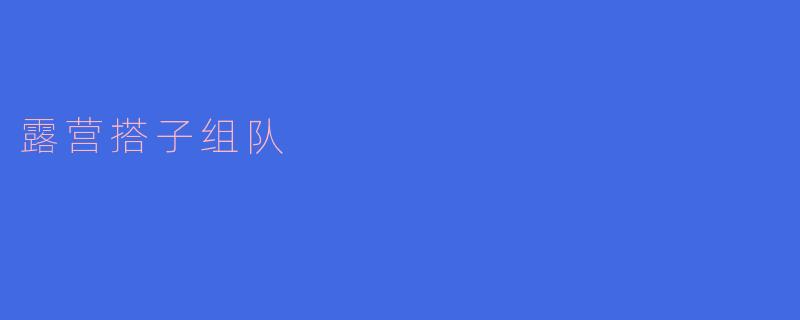 露营搭子组队