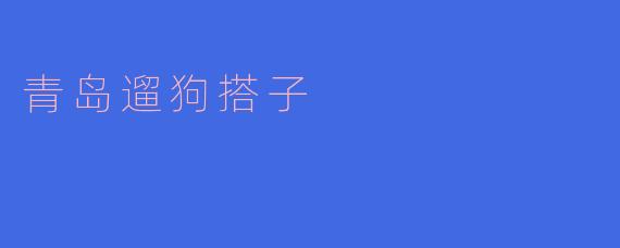 青岛有哪些适合遛狗的地方呢?