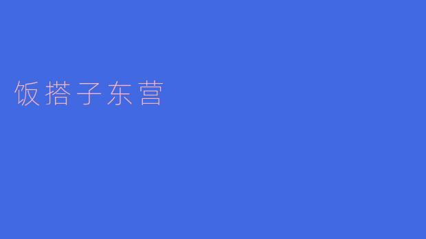 饭搭子东营