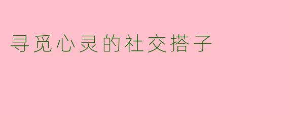 寻觅心灵的社交搭子