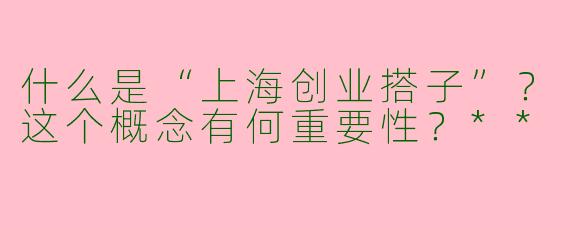 什么是“上海创业搭子”?这个概念有何重要性?**