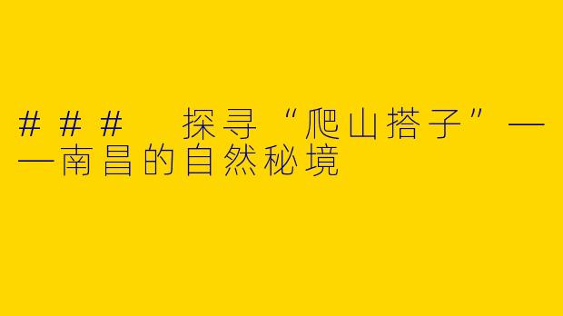 ### 探寻“爬山搭子”——南昌的自然秘境