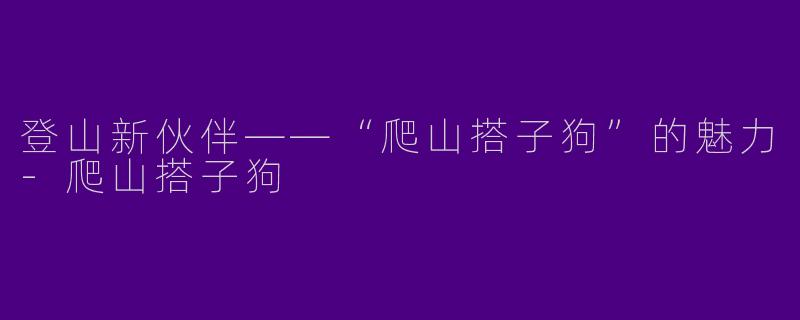登山新伙伴——“爬山搭子狗”的魅力-爬山搭子狗