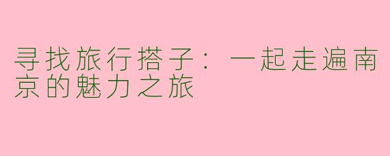 寻找旅行搭子：一起走遍南京的魅力之旅