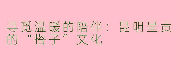 寻觅温暖的陪伴：昆明呈贡的“搭子”文化