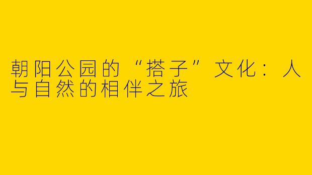 朝阳公园的“搭子”文化:人与自然的相伴之旅
